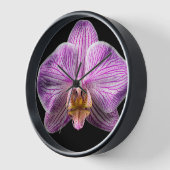 Orchidee op zwarte achtergrond (Hoek)