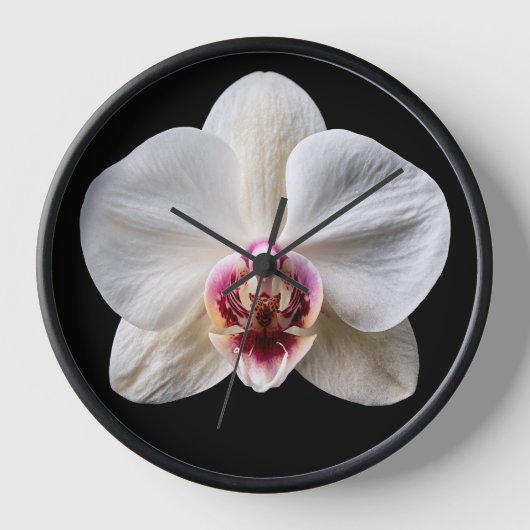 Orchidee op zwarte achtergrond (Voorkant)