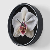 Orchidee op zwarte achtergrond (Hoek)