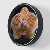 Orchidee op zwarte achtergrond (Hoek)