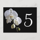 Orchidee op zwarte tafelnummers (Voorkant)