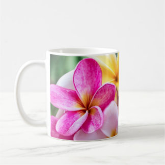 orchidee, opal-Hawaiian-mok Koffiemok