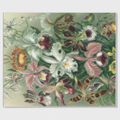  orchidee orkest Haeckel Lithograaf Poster Cadeaupapier (Vlak)