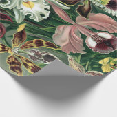  orchidee orkest Haeckel Lithograaf Poster Cadeaupapier (Hoek)