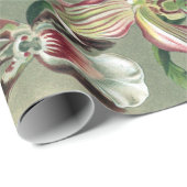  orchidee orkest Haeckel Lithograaf Poster Cadeaupapier (Rol Hoek)