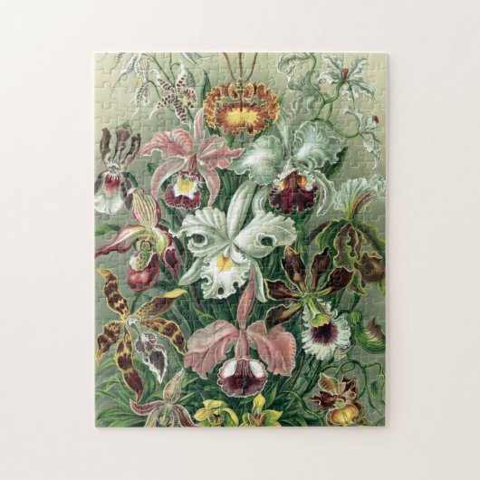 orchidee orkest Haeckel Lithograaf Poster Legpuzzel (Verticaal)