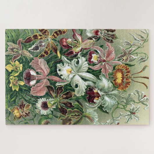 orchidee orkest Haeckel Lithograaf Poster Legpuzzel (Horizontaal)
