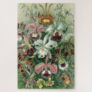 orchidee orkest Haeckel Lithograaf Poster Legpuzzel