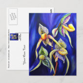 Orchidee Paphiopedilum Lady's Slipper Briefkaart (Voorkant / Achterkant)