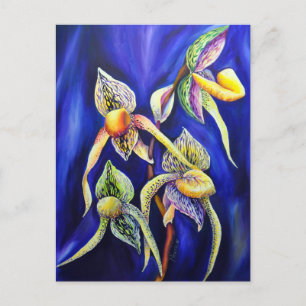Orchidee Paphiopedilum Lady's Slipper Briefkaart