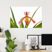 Orchidee - past de slipper? poster (Thuiskantoor)