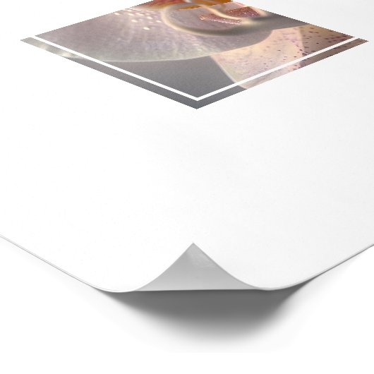 Orchidee Poster (Hoek)