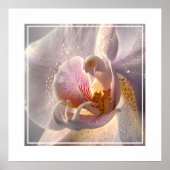 Orchidee Poster (Voorkant)