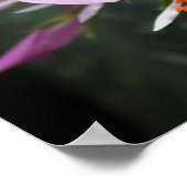 Orchidee Poster (Hoek)