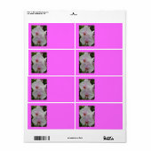 Orchidee - Roze Bloesem (Kolossenzen 2:3) Etiket (Full Sheet)