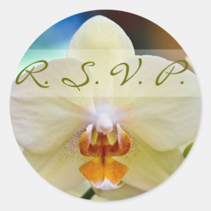 Orchidee · RSVP-Sticker Ronde Sticker