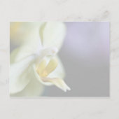 Orchidee · Save the Date Briefkaart (Achterkant)