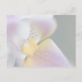 Orchidee · Save the Date Briefkaart (Achterkant)