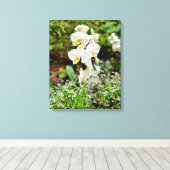 Orchidee Schoonheid Canvas Afdruk (Insitu (Houten vloer))