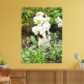 Orchidee Schoonheid Canvas Afdruk (Insitu (Woonkamer))