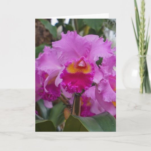 Orchidee Schoonheid Kaart (Voorkant)
