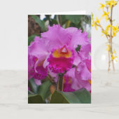 Orchidee Schoonheid Kaart (Gele Bloem)