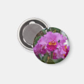 Orchidee Schoonheid Magneet (Voorkant / Achterkant)