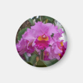 Orchidee Schoonheid Magneet (Voorkant)