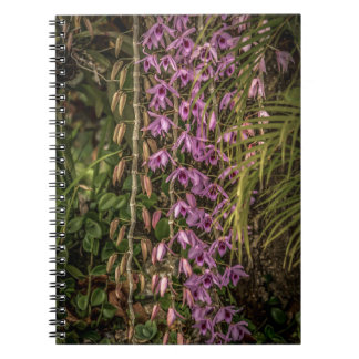 Orchidee Spiraal Foto Notitieboek