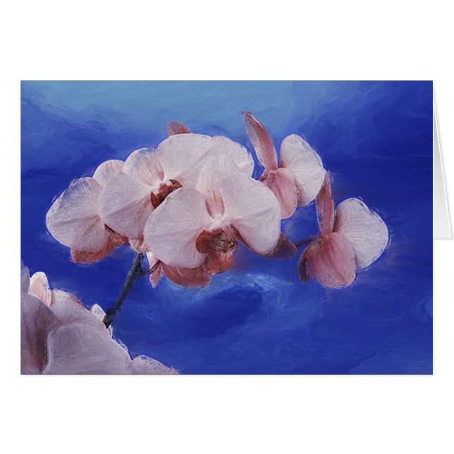 Orchidee Spring (Voorkant Horizontaal)