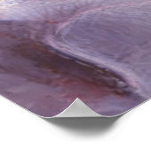 Orchidee Spring Poster (Hoek)