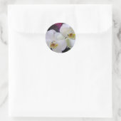 Orchidee stickers (Tas)