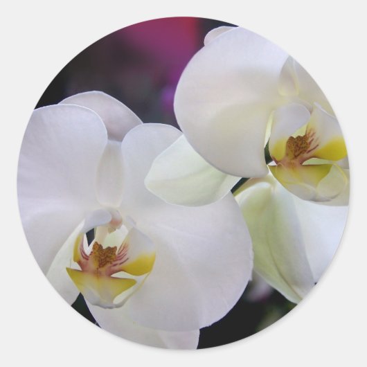Orchidee stickers (Voorkant)