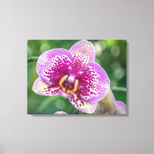 Orchidee up close canvas print