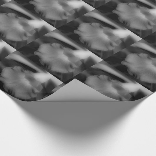 Orchidee-ventilator in zwart-wit cadeaupapier (Hoek)