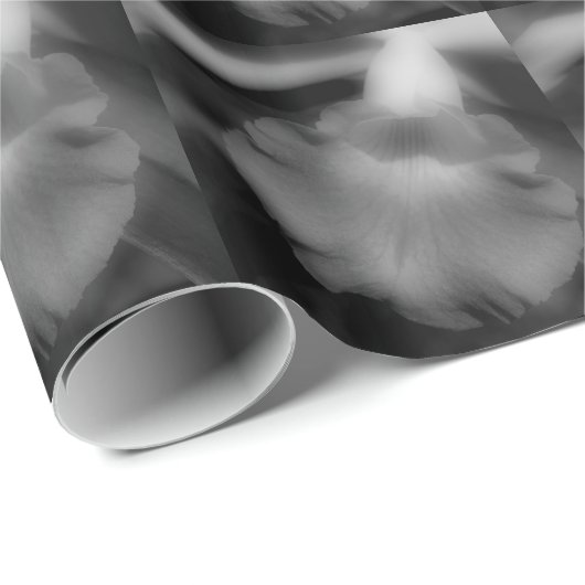 Orchidee-ventilator in zwart-wit cadeaupapier (Rol Hoek)