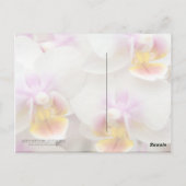 Orchidee · Verjaardag Briefkaart (Achterkant)