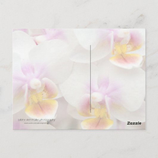 Orchidee · Verjaardag Briefkaart (Achterkant)