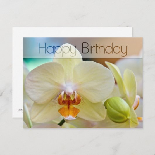 Orchidee · Verjaardag Briefkaart (Voorkant / Achterkant)
