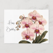 orchidee verjaardag kaart (Voorkant)