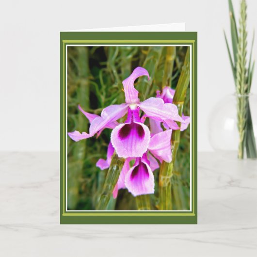 Orchidee Verjaardag Kaart (Voorkant)