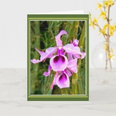 Orchidee Verjaardag Kaart (Gele Bloem)