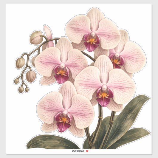 orchidee vinyl sticker (Vel)