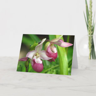 Orchidee Wenskaart Kaart