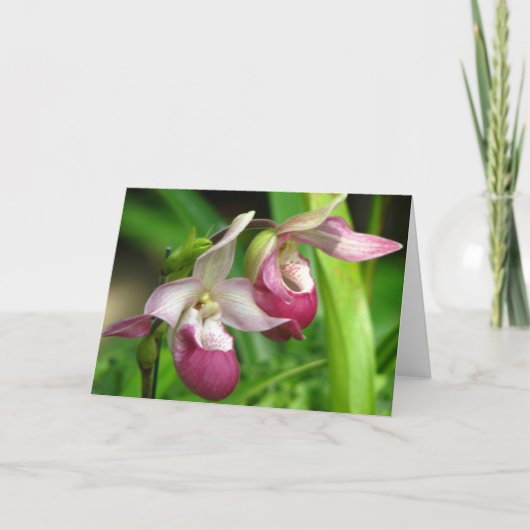 Orchidee Wenskaart Kaart (Voorkant)