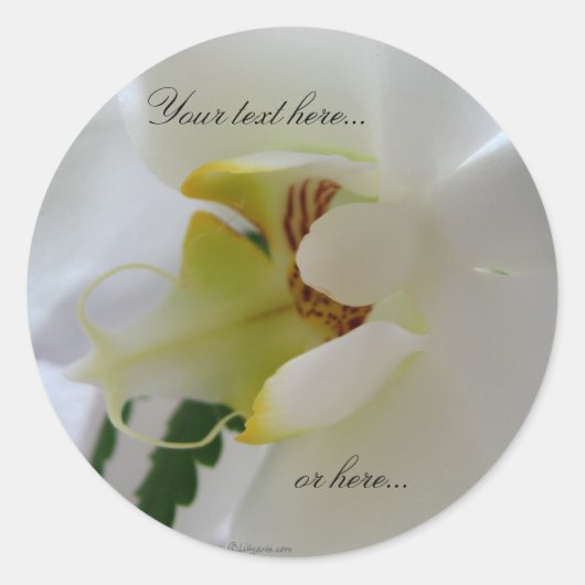Orchidee witte bloem Stickers / bruiloft stickers (Voorkant)