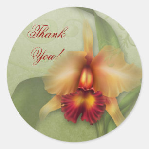 Orchidee-wonder Ronde Sticker