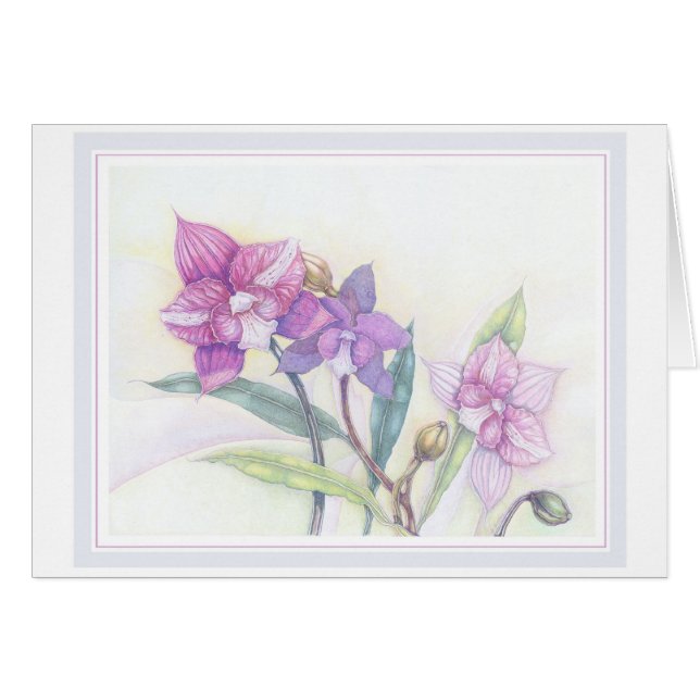 Orchideeën (Voorkant Horizontaal)