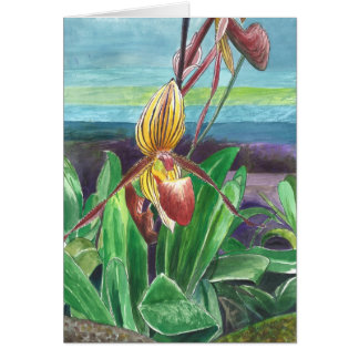 Orchideeën