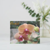 Orchideeën # 10 briefkaart (Staand voorkant)